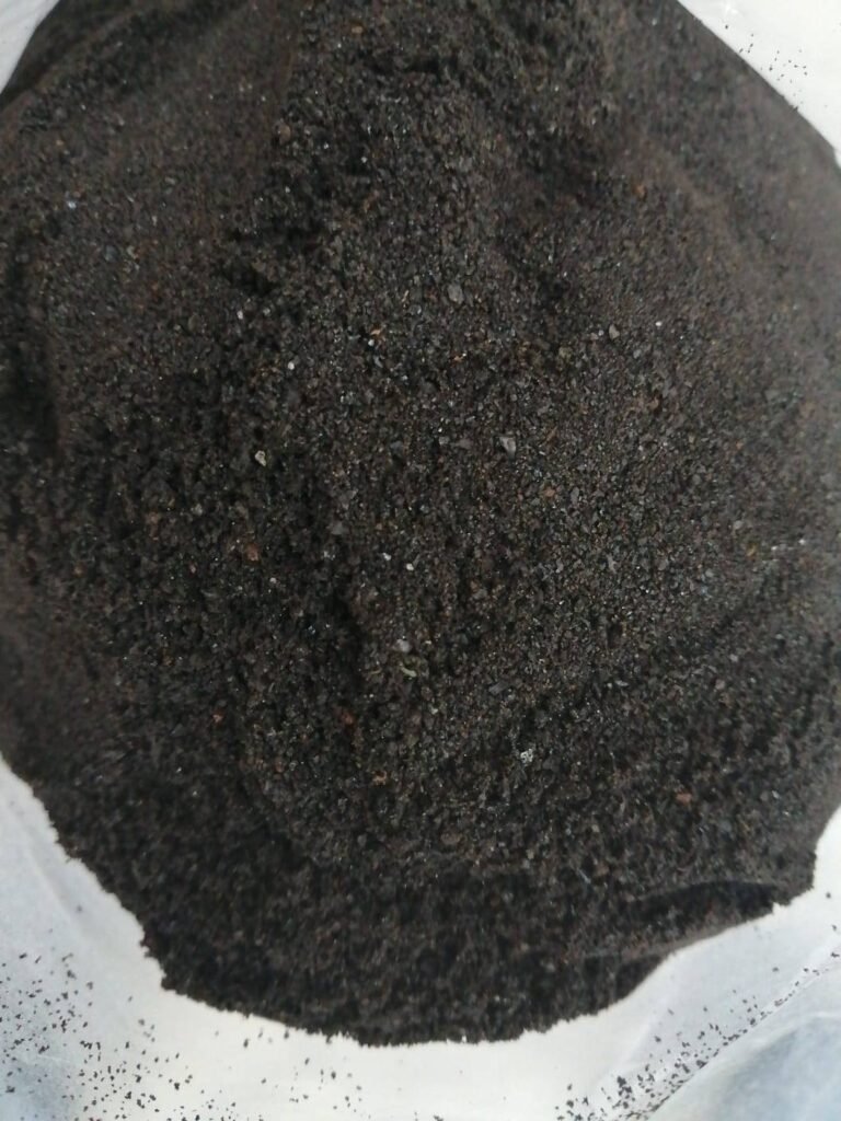 Siracactus-Inerti-Lapillo-nero.jpg