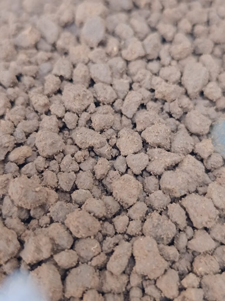 Siracactus-inerti-Akadama-2.jpg