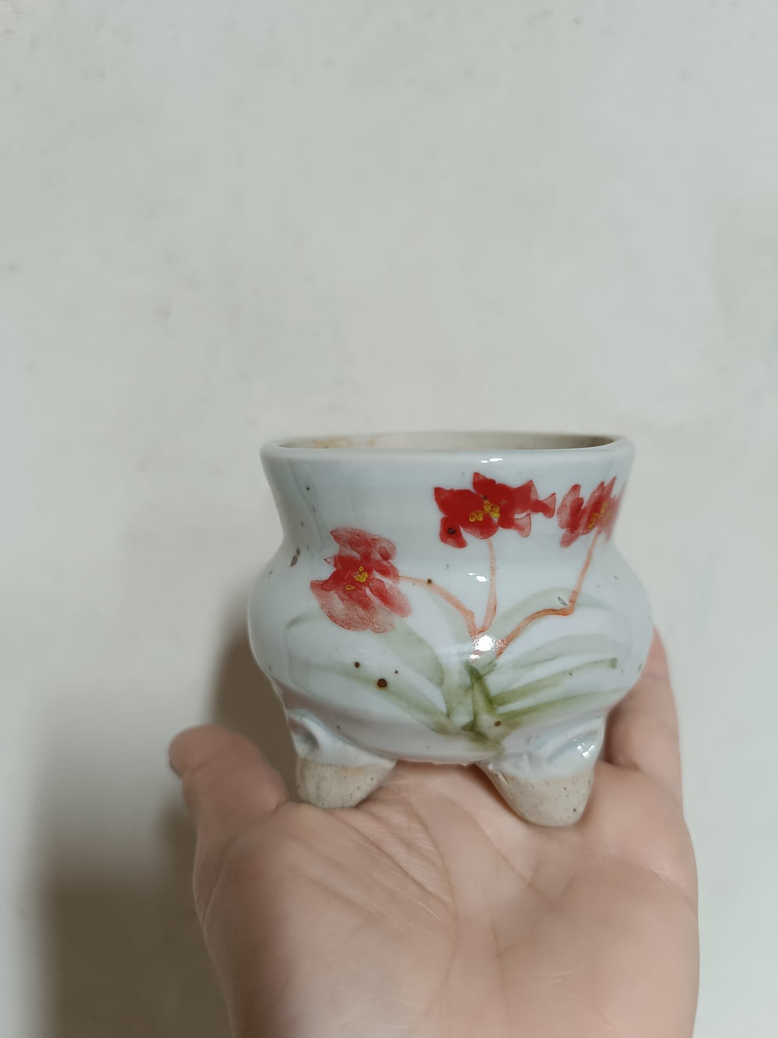 Siracactus-vaso-Vaso-cinese.jpg