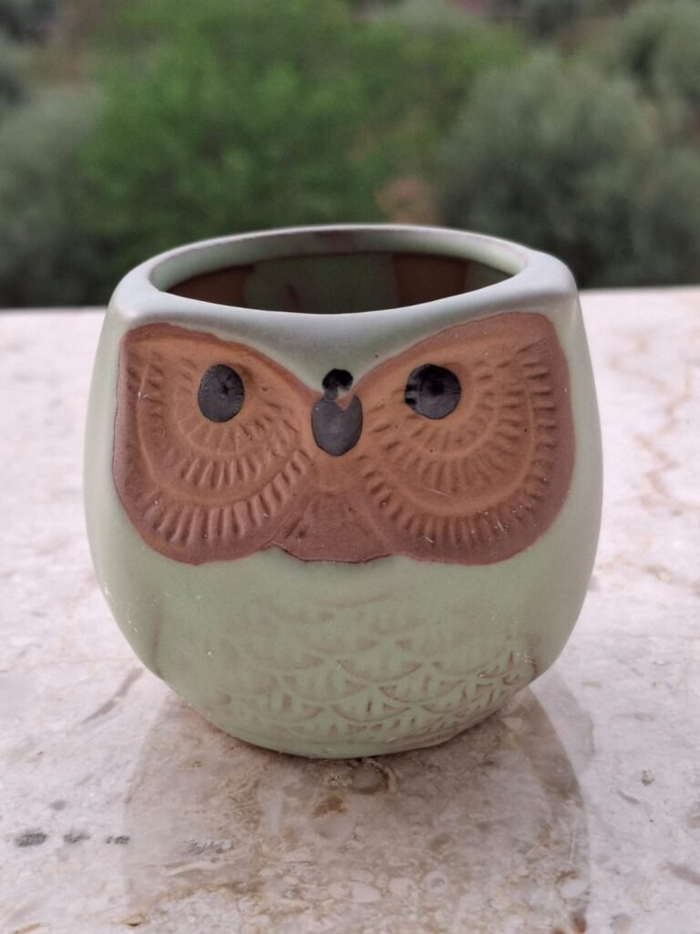 Siracactus-vaso-Vaso-gufetto.jpg