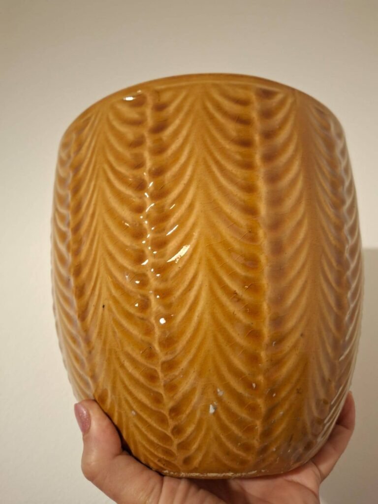 Siracactus-vaso-terracotta-Vaso-in-ceramica-ocra.jpg