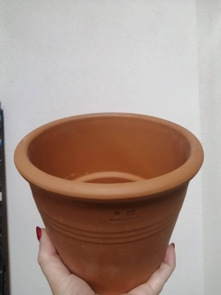Siracactus-vaso-terracotta-Vaso-terracotta-18-cm.jpg