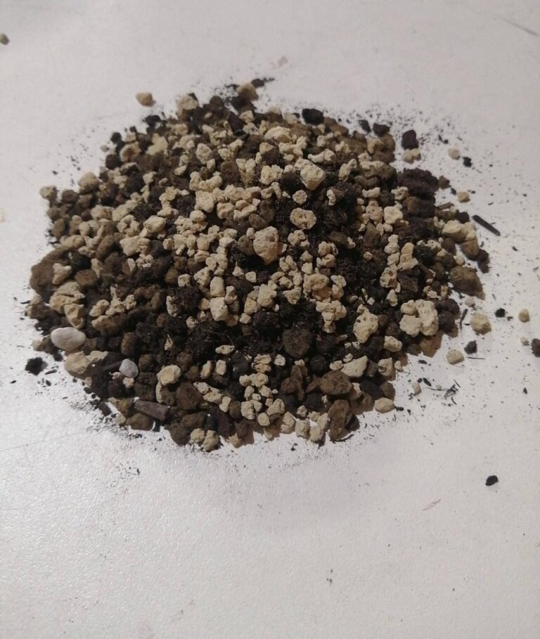 Terriccio Radicazione Piante Grasse