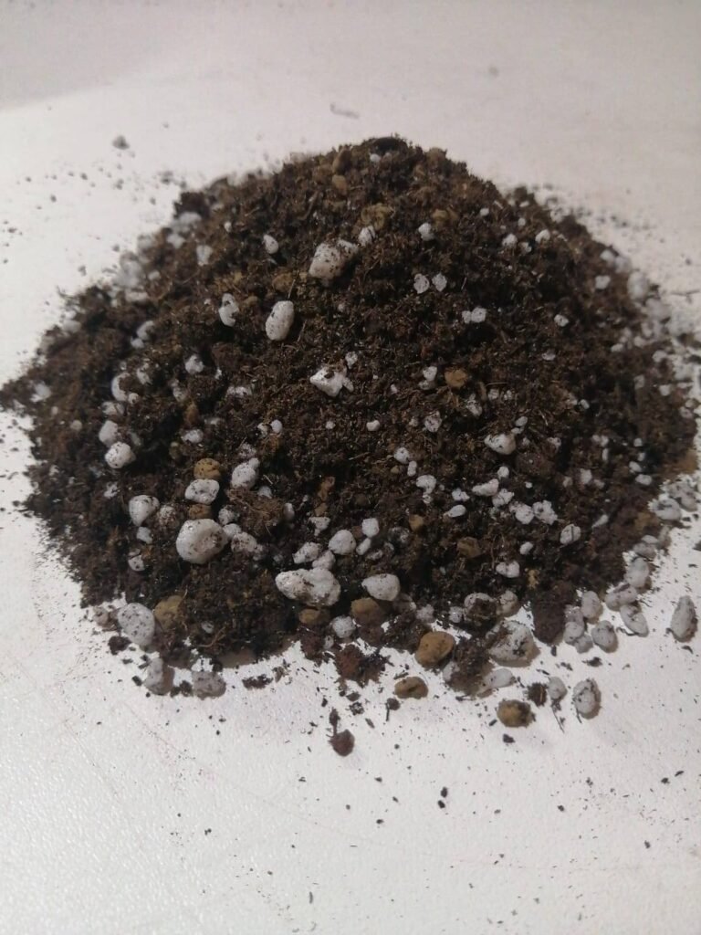 Terriccio per Succulente