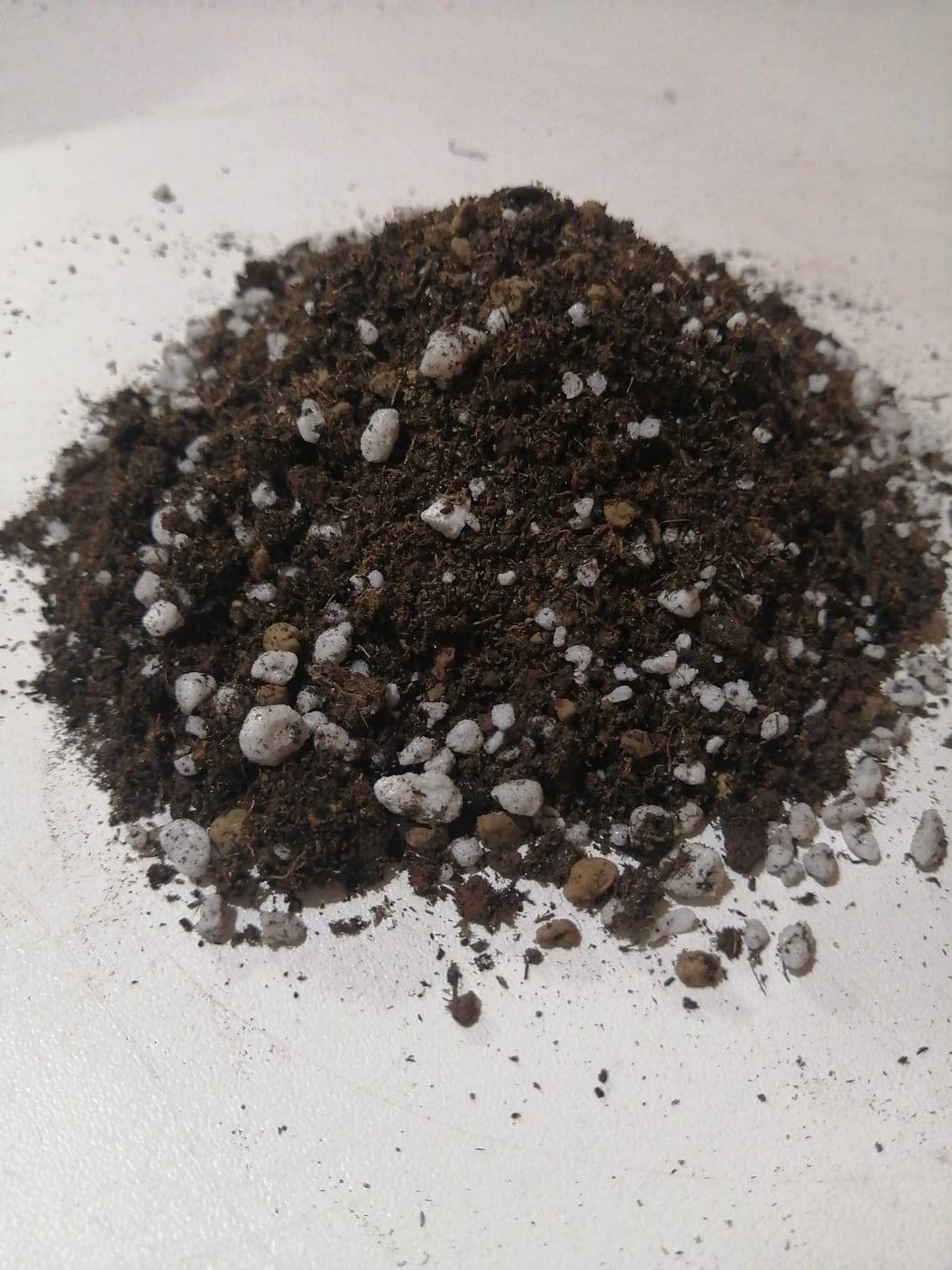 Terriccio per Succulente