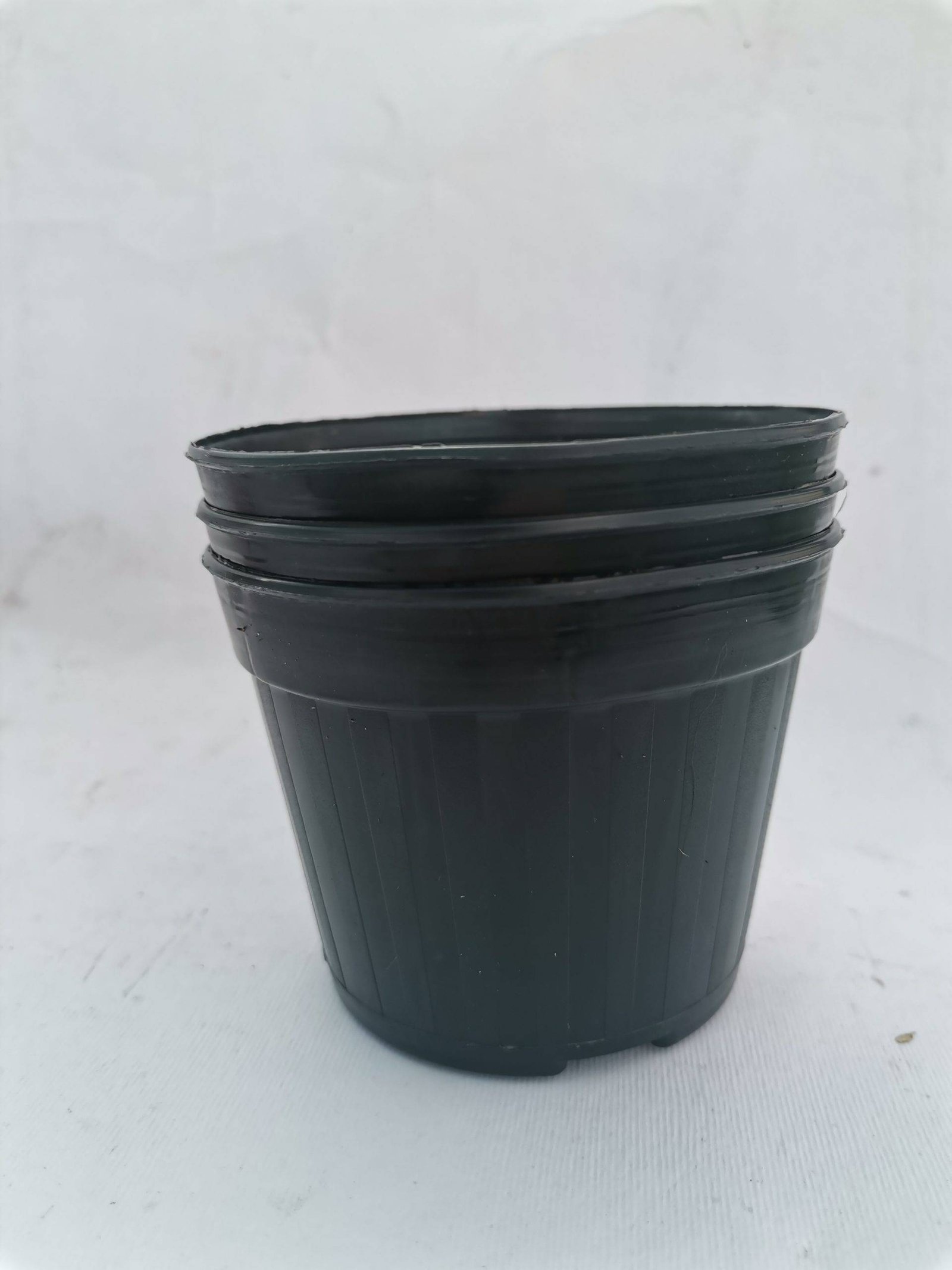 Vaso tondo rigido nero 9 cm