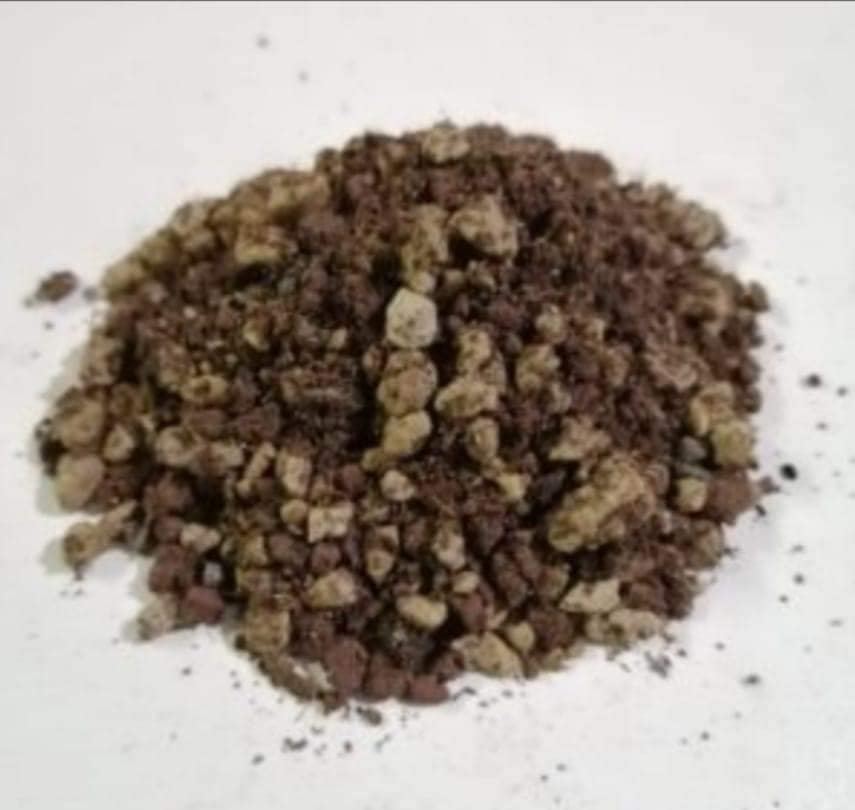 Terriccio per Lithops e famiglia