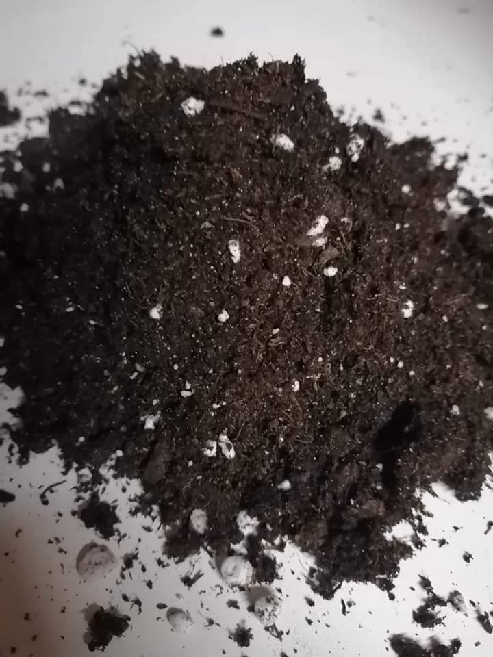 Terriccio più Perlite