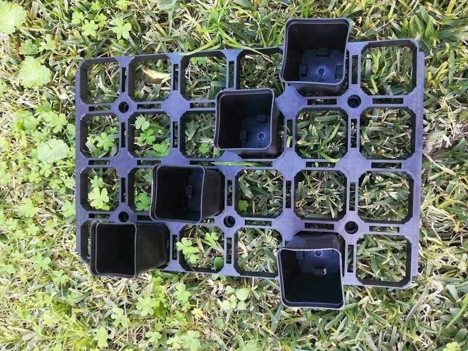 Portavasi vasi quadri 8×8  posti 24