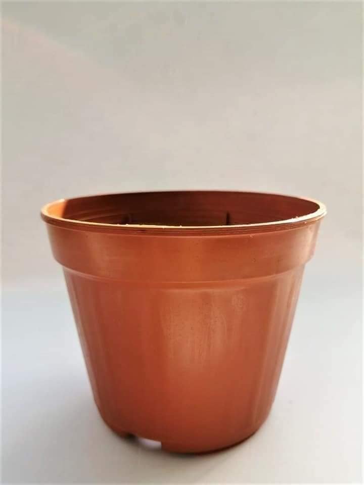 Vaso tondo color coccio 12 cm