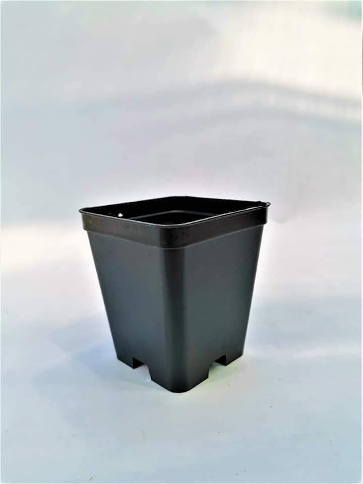 Vaso nero Quadro in plastica 7x7x8