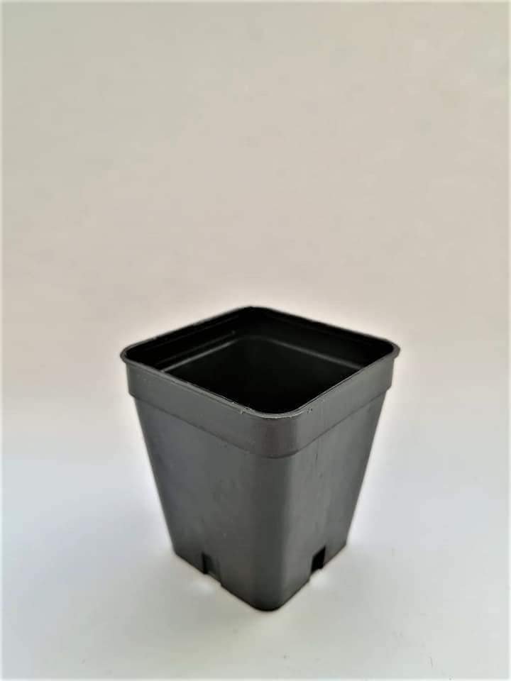 Vaso nero Quadro in plastica 5x5x6