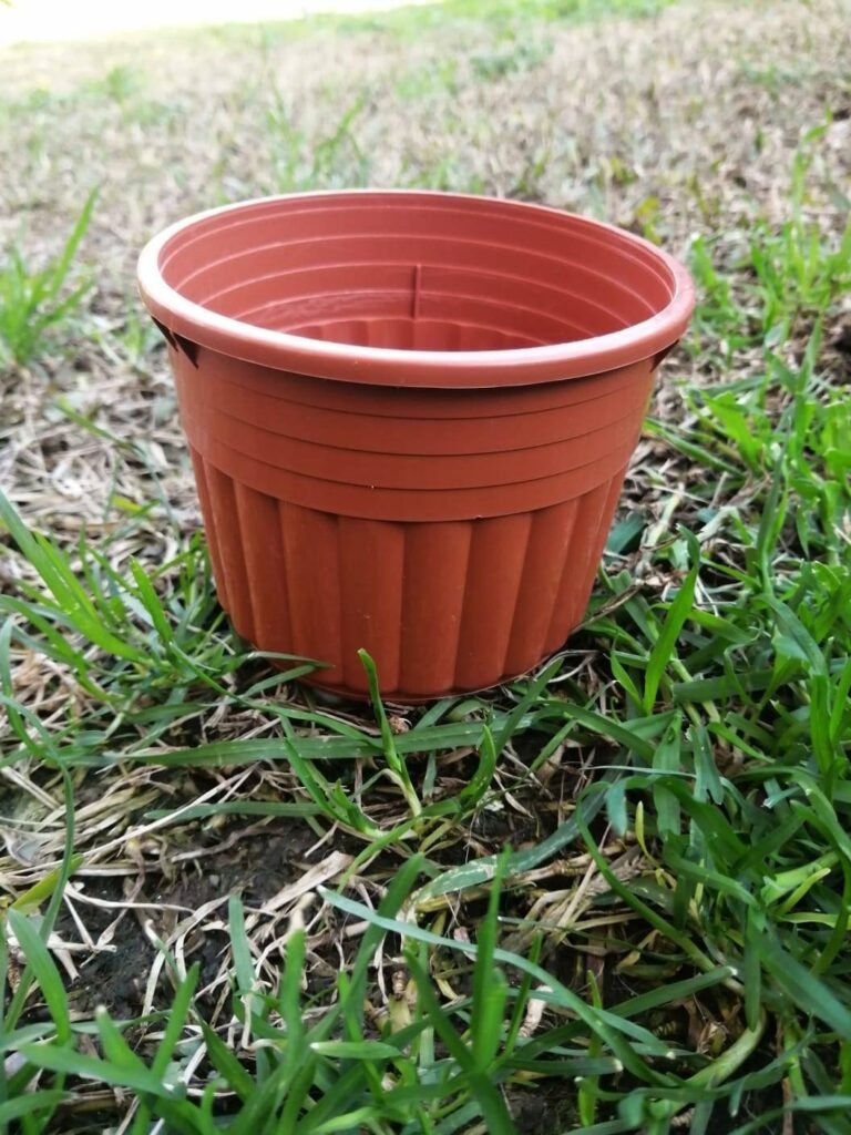 Vaso conteiner basso 10 cm color coccio