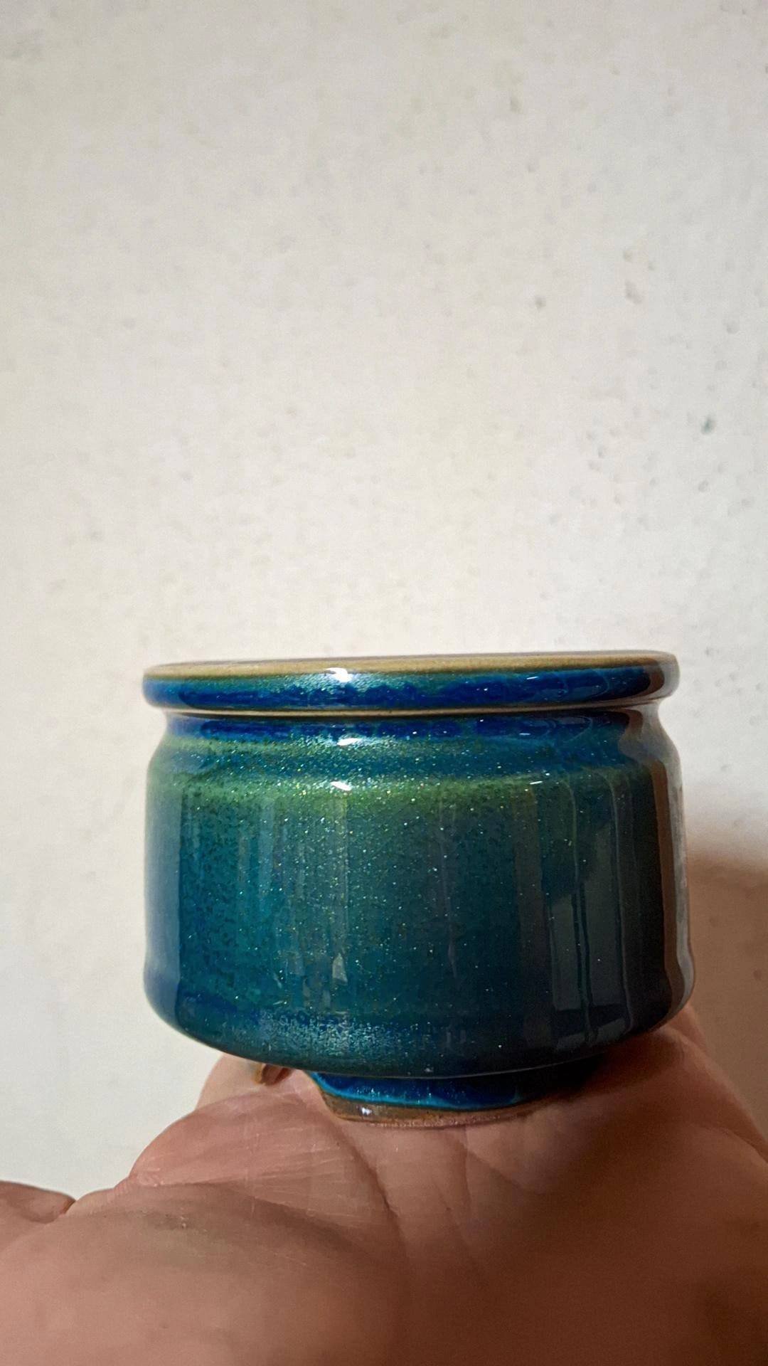 Siracactus-vaso-Vaso-cinese-1.jpg